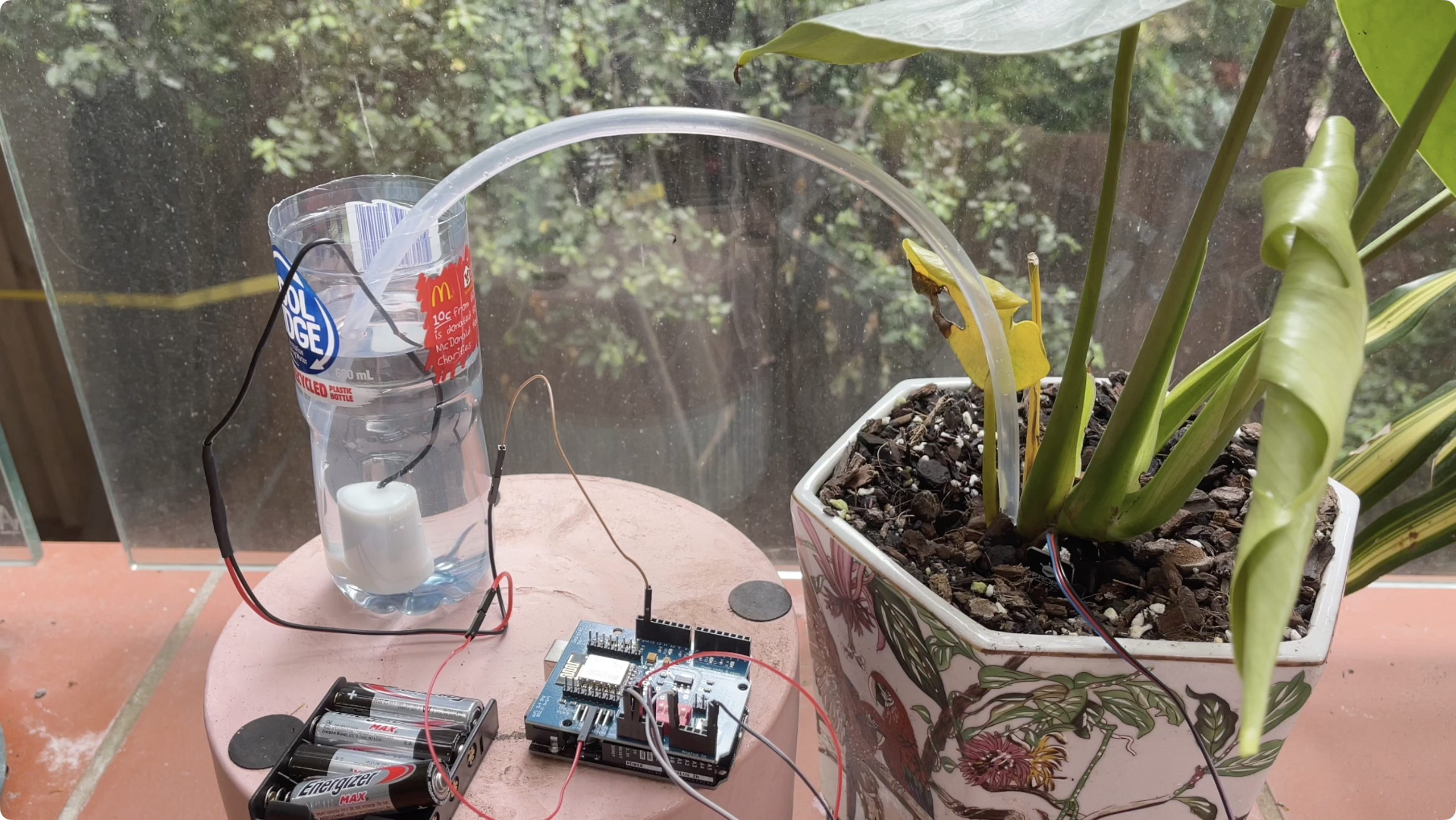 Automatic Plant Waterer